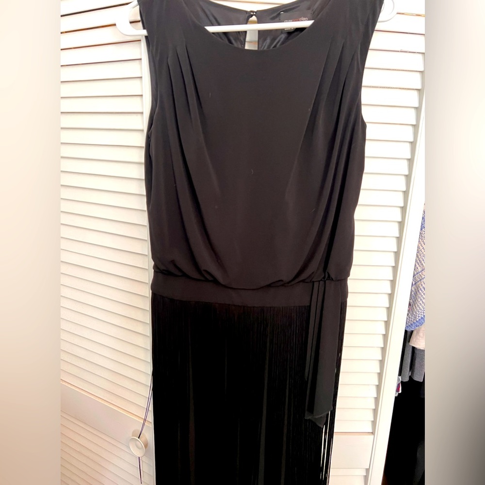 Beautiful never been worn Max and Cleo fringe dress, size 4